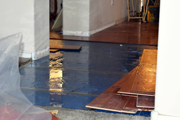 Professional Burst Pipe Water Damage technician working in Egan, LA